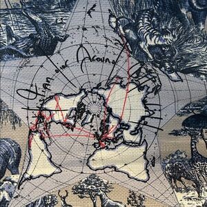 Limited Edition Dior All Around The World Tote Bag